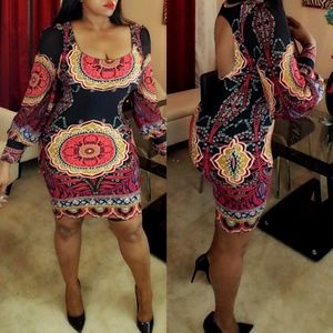 Fitted Printed Dress